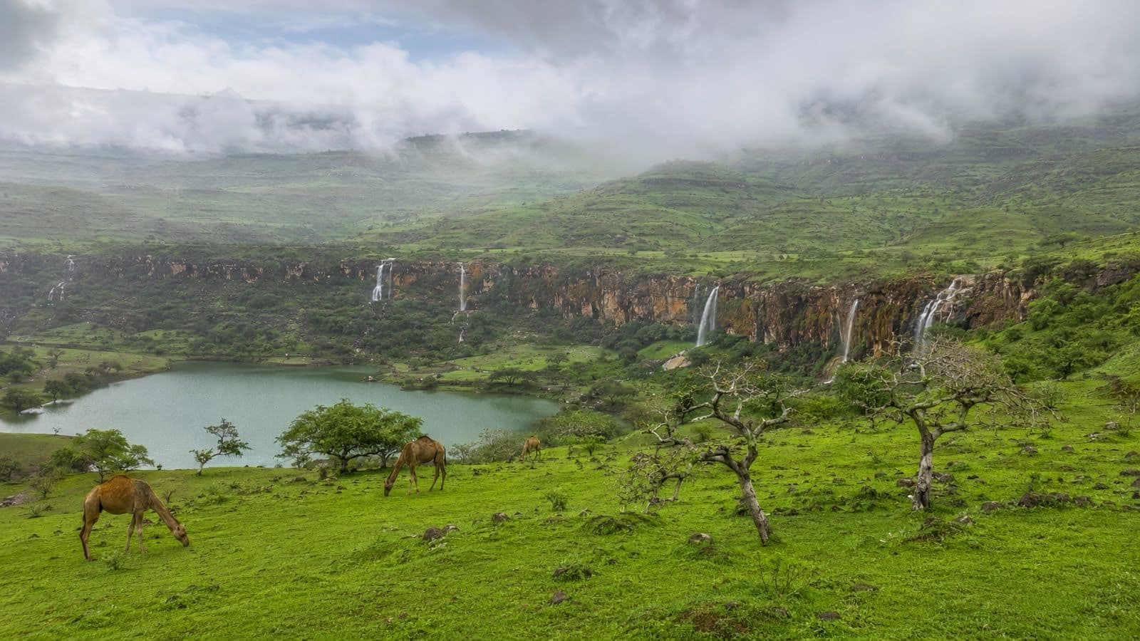 Panoramic view of Salalah’s lush green mountains
